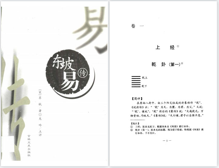 东坡易传.龙吟点评